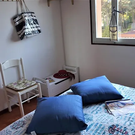 Apartment Alisei